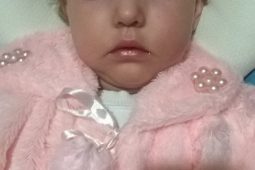 Save Sofia Beznos
