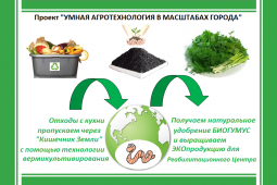 Умная агротехнология в масштабах города