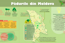 Plantăm fapte bune în Moldova