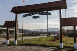Lozovenii pentru un parc amenajat
